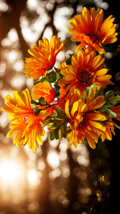 Cuddle & Gobble Combo Set